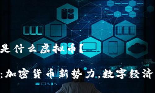 SGC币是什么虚拟币？

SGC币：加密货币新势力，数字经济的未来