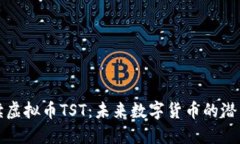深入解读虚拟币TST：未来