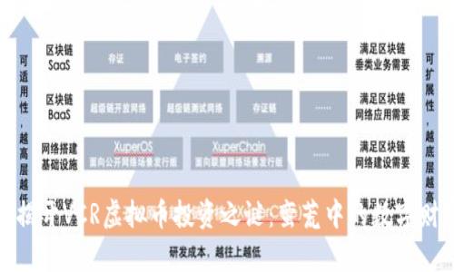 : 揭开VCR虚拟币投资之谜：蛮荒中的数字财富