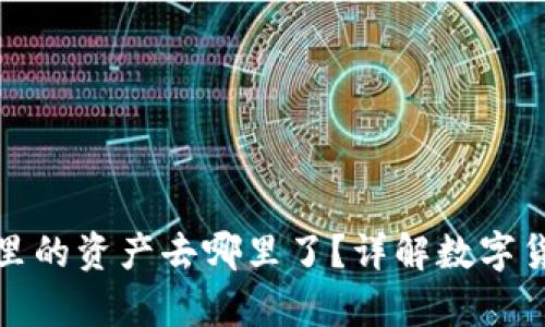 tpwallet卸载后钱包里的资产去哪里了？详解数字货币钱包的使用与安全