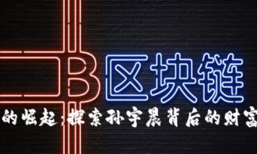 虚拟币的崛起：探索孙宇晨背后的财富与未来