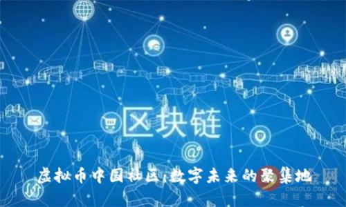 虚拟币中国社区：数字未来的聚集地