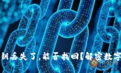 tpwallet私钥丢失了，能否找