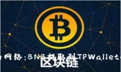 选择适合的网络：BNB提取