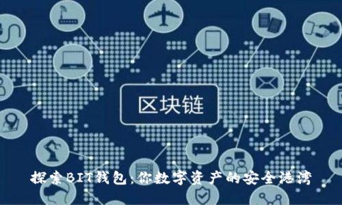探索BIT钱包：你数字资产的安全港湾