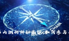 揭开虚拟币内测的神秘面