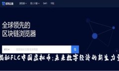 揭秘FLC中国虚拟币：未来
