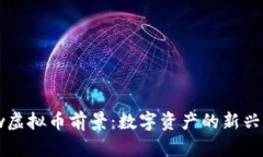 Flow虚拟币前景：数字资产