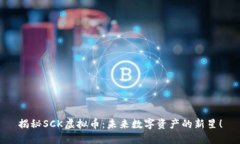 揭秘SCK虚拟币：未来数字