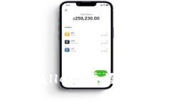 苹果商店中的TPWallet：掌握