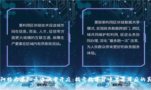 东阳特大虚拟币诈骗案开庭：揭开数字货币黑幕背后的真相