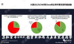 虚拟货币DMX：投资新机遇