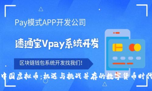 中国虚拟币：机遇与挑战并存的数字货币时代