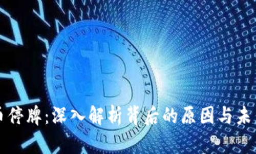 星云币停牌：深入解析背后的原因与未来影响