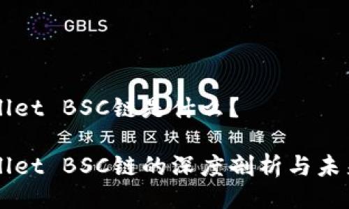 TPWallet BSC链是什么？

TPWallet BSC链的深度剖析与未来展望