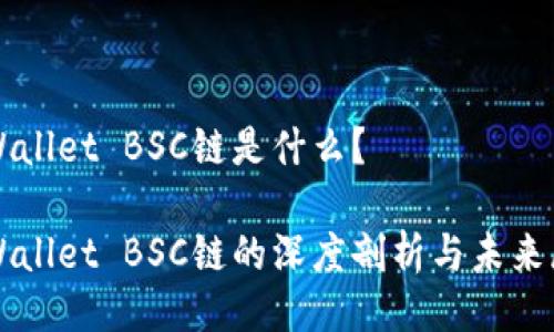 TPWallet BSC链是什么？

TPWallet BSC链的深度剖析与未来展望