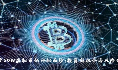 揭开SOW虚拟币的神秘面纱：投资新机会与风险剖析