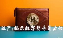 虚拟币老板破产：揭示数