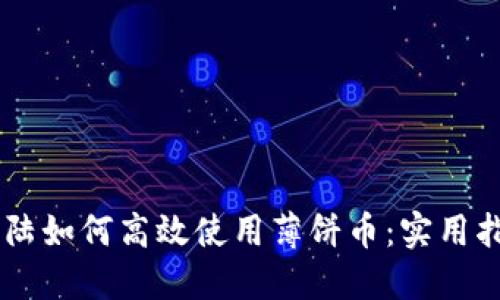 TPWallet在大陆如何高效使用薄饼币：实用指南和个人经历