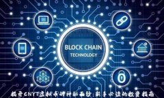 揭开CNYT虚拟币的神秘面纱