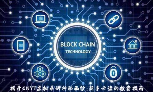 
揭开CNYT虚拟币的神秘面纱：新手必读的投资指南
