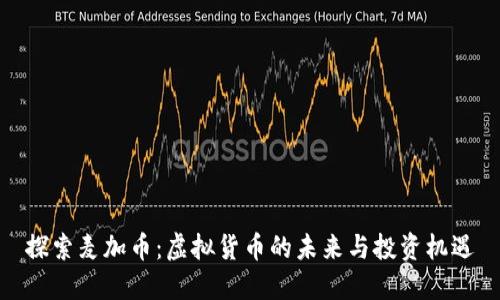 探索麦加币：虚拟货币的未来与投资机遇