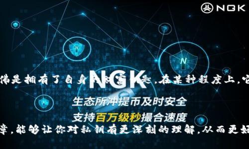 私钥是区块链技术中的一个重要概念，无论是在TPWallet，还是在其他数字钱包中，私钥都是用来访问和管理用户加密货币资产的关键。在TPWallet中，私钥是用来保护用户资产安全和进行交易的重要工具。

### 什么是私钥？

在区块链中，私钥实际上是一串复杂的字符串，它是与用户的公钥相对应的。公钥就像一个银行账户，任何人都可以通过它向你转账。而私钥则是你能对这笔转账进行控制的唯一“钥匙”。如果有人获得了你的私钥，他们就可以完全控制你与之对应的钱包中的资产。

### 为什么私钥如此重要？

私钥的重要性在于它直接关系到用户的资产安全。记住以下几点：

1. **控制权**：拥有私钥意味着你拥有对应于钱包资产的所有权。失去私钥，意味着失去对资产的控制。
   
2. **安全性**：私钥本质上是一个高度敏感的信息。它不应与任何人分享，甚至在某些情况下，不应存储在互联网连接的设备上。
   
3. **不可恢复**：如果你丢失了私钥，而又没有备份，永久丧失的风险非常高。这就是为什么大多数用户会选择将私钥存储在安全的地方，比如硬件钱包或纸钱包。

### 如何生成和管理私钥？

在TPWallet中，生成私钥的过程一般如下：

1. **钱包创建**：在创建钱包时，系统会自动生成一对密钥——公钥和私钥。通常，用户能够看到私钥并且需要妥善保存。

2. **安全存储**：用户可以选择将私钥打印出来，保存在安全的地方，或者使用密码管理器等安全工具保存。

3. **备份**：定期备份私钥是一个好习惯，这样即使你的设备出现问题，你依然可以恢复钱包中的资产。

### TPWallet的独特之处

TPWallet 作为一种去中心化的钱包，强调用户的隐私和安全。它可以支持多种区块链，让用户更加方便地管理不同数字资产。

1. **多链支持**：TPWallet 支持多种区块链，用户可以在一个平台上管理不同资产，减少了寻找不同钱包的困扰。

2. **隐私保护**：TPWallet 保持用户隐私，确保私钥不会被泄露。用户能更加放心地进行交易。

3. **简易操作**：TPWallet 的界面友好，使得即使是初学者也能快速了解如何操作，轻松管理数字资产。

### 我的个人经历

在我第一次接触区块链时，我并没有完全理解私钥的重要性。我创建了一个钱包，并且在交易后就把私钥放在了一个看似安全的地方。几周后，我的设备出现了问题，我找不到我的私钥。此时我才意识到，私钥的丢失意味着我失去了对资产的控制，这让我非常沮丧。从那以后，我开始更加重视私钥的管理，尤其是安全存储和备份。

### 如何确保私钥的安全性？

1. **硬件钱包**：投资一个硬件钱包，可以给你提供更加安全的存储方式。

2. **双重认证**：启用双重认证，为你的钱包增加一层保护。

3. **定期检查**：不定期检查你的私钥存储位置，确保没有泄露风险。

### 再谈私钥的文化意义

私钥不仅仅是技术上的概念，也在一定程度上象征着个人的财务自由和对数字资产控制权的拥有。在今天数字经济的背景下，拥有私钥就仿佛是拥有了自身的财富钥匙。在某种程度上，它体现了去中心化理念——每个人都有权与其资产进行自由交易，而不是受制于中心化的金融机构。

### 结语

无论是在TPWallet中，还是其他数字钱包，私钥都体现着安全性与控制权。每个人都需要重视这一点，确保存储私钥的安全。希望通过这篇文章，能够让你对私钥有更深刻的理解，从而更好地管理自己的数字资产。在区块链的旅程中，不仅要关注技术的进步，更要关注如何有效、安全地使用这些技术带给我们的机会。