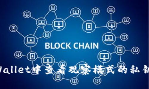 如何在TPWallet中查看观察模式的私钥？实用指南