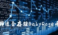 如何选择适合存储BabyDog