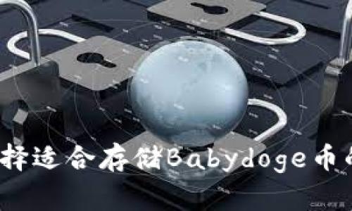 如何选择适合存储Babydoge币的钱包？
