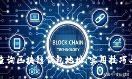 如何高效查询区块链钱包地址：实用技巧与工具分析