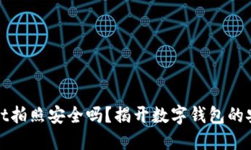 TPWallet拍照安全吗？揭开数字钱包的安全面纱