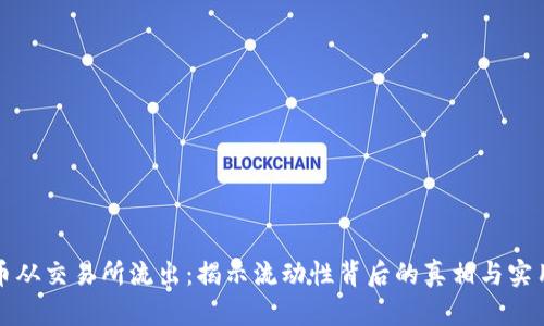 虚拟币从交易所流出：揭示流动性背后的真相与实用价值