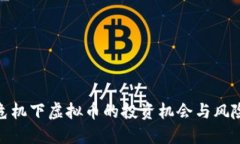 金融危机下虚拟币的投资