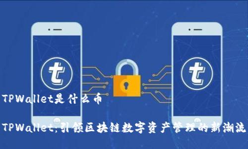 TPWallet是什么币

TPWallet：引领区块链数字资产管理的新潮流