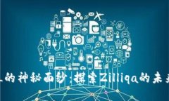 揭开ZIL的神秘面纱：探索