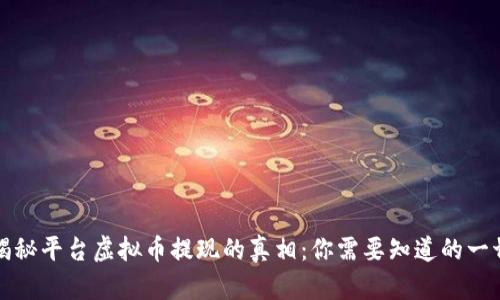 揭秘平台虚拟币提现的真相：你需要知道的一切