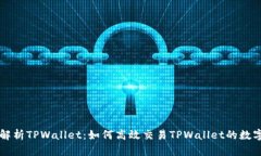 全面解析TPWallet：如何高效