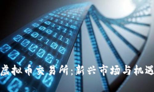 : 韩国合法虚拟币交易所：新兴市场与机遇的全景剖析