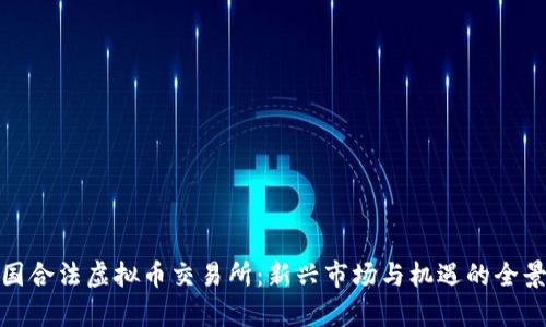 : 韩国合法虚拟币交易所：新兴市场与机遇的全景剖析