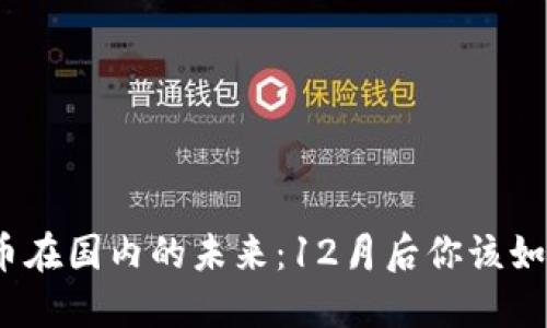 : 虚拟币在国内的未来：12月后你该如何应对？