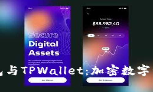 深度解析币钱包与TPWallet：加密数字资产管理的未来