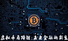 探索虚拟币马蹄链：未来