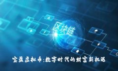 宝盈虚拟币：数字时代的