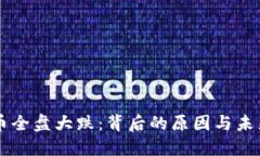 虚拟币全盘大跌：背后的