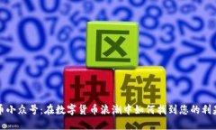 虚拟币小众号：在数字货