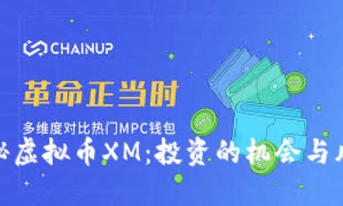 揭秘虚拟币XM：投资的机会与风险