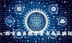 虚拟币Room：探索未来数字