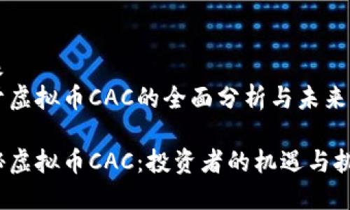 抽象
关于虚拟币CAC的全面分析与未来展望

揭秘虚拟币CAC：投资者的机遇与挑战