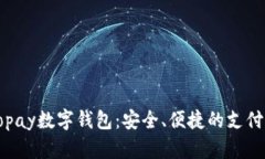 探索Gopay数字钱包：安全、